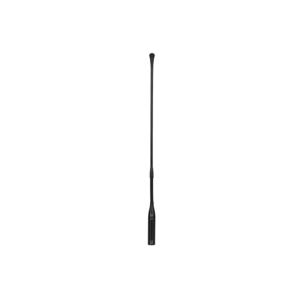AKG CGN99C/Large