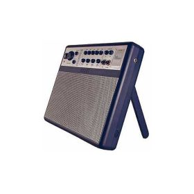 AXL Thin Amp Guitar Amp
