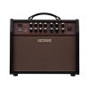 Boss Acoustic Singer Live LT 60-watt Bi-amp Acoustic Combo