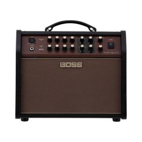 Boss Acoustic Singer Live LT 60-watt Bi-amp Acoustic Combo