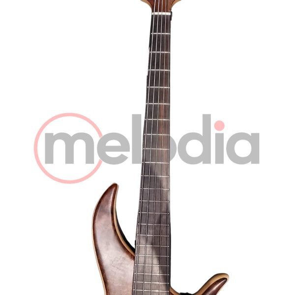 F-Bass BN5 with Figured Walnut Top #12 And Matching Pickups & Headstock - Gambar 6