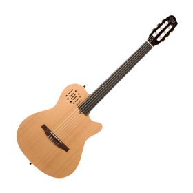 Godin Multiact Encore