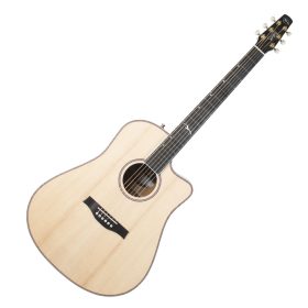 Godin Seagull Artist Mosaic CW HG EQ with TRIC Case