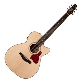 Seagull Maritime SWS Concert Hall CW QIT