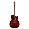 Godin Seagull Performer CW CH Burnt Umber Presys II SF with Bag
