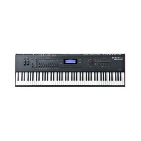Kurzweil Forte SE