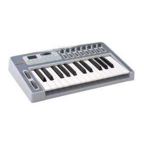Sims Audio Primus A25