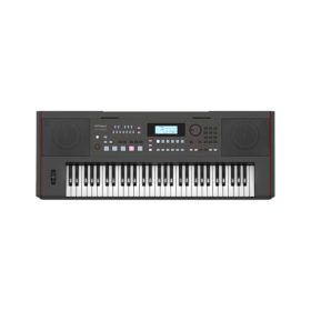 Roland E-X50 61-key Arranger - Black