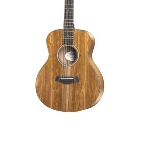 Taylor GS Mini E-Koa With Bag