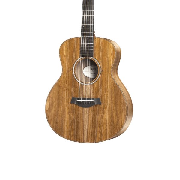 Taylor GS Mini E-Koa With Bag