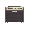 Fishman Loudbox Mini