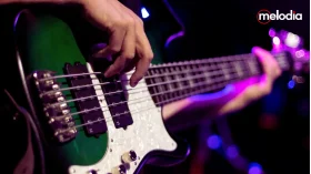 rekomendasi bass untuk pemula
