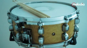 snare drum terbaik