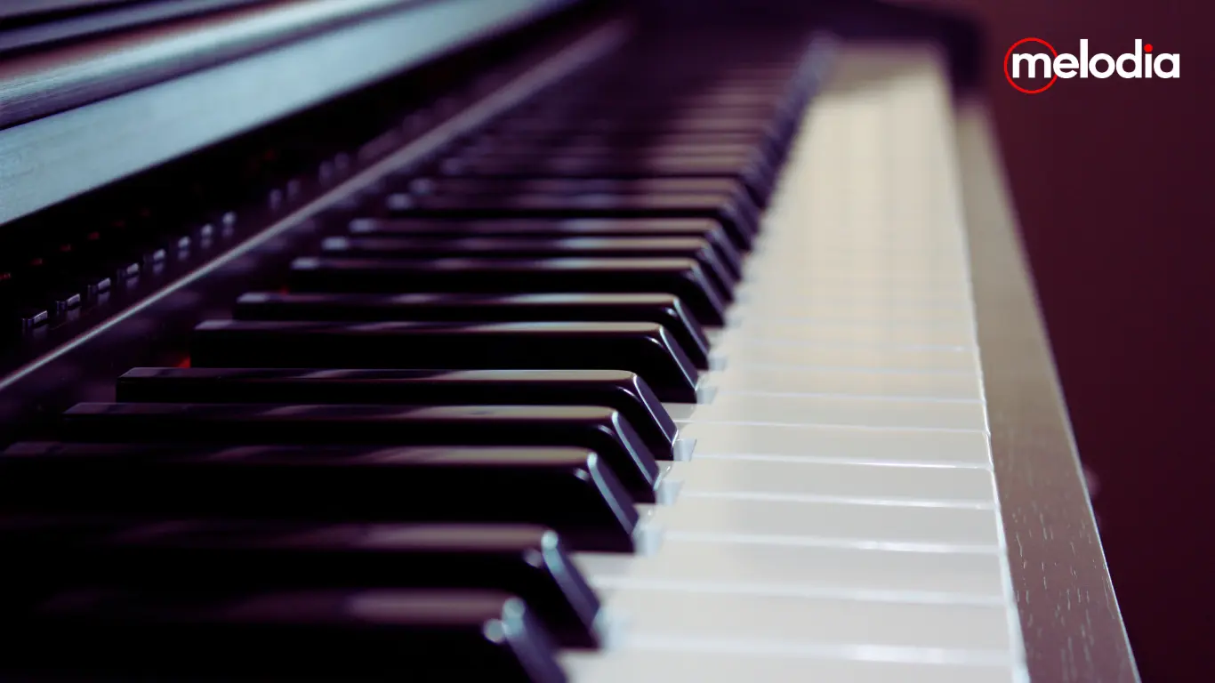 stage piano vs digital piano