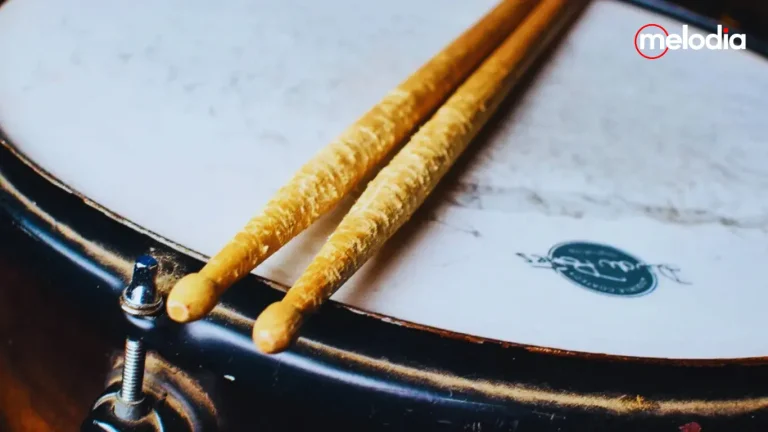 stick drum terbaik