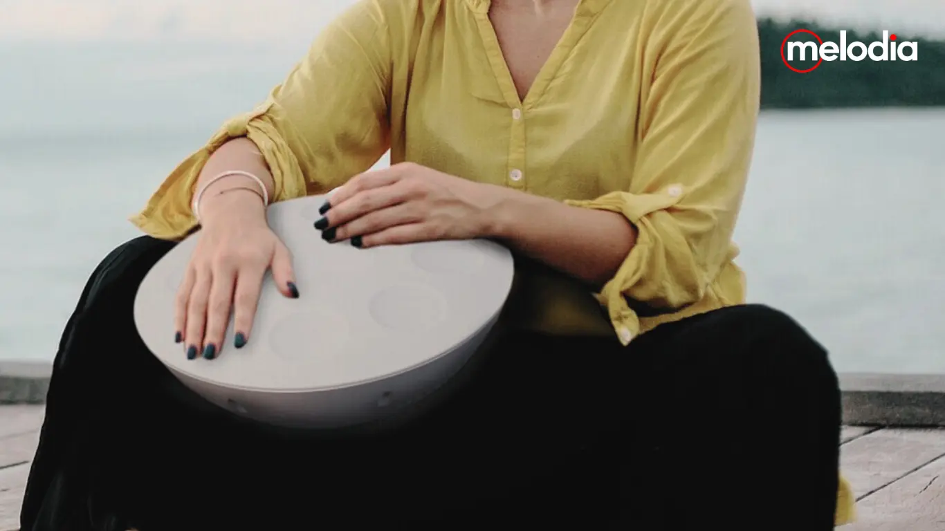 Roland MN-10 Mood Pan: Handpan Elektronik Meditatif Kini Tersedia di Melodia Musik