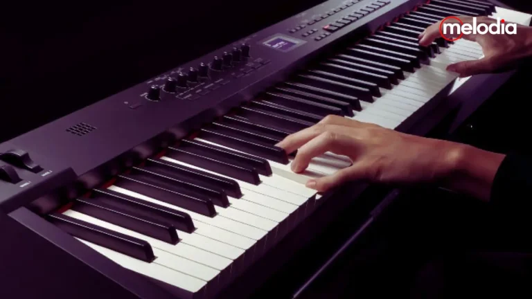 harga piano murah