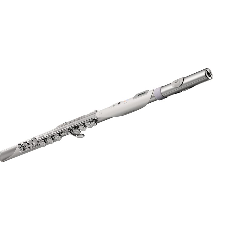 Roland Aerophone Brisa Digital Wind Instrument - Gambar 2