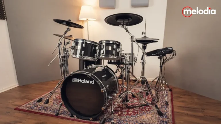 review Roland VAD516