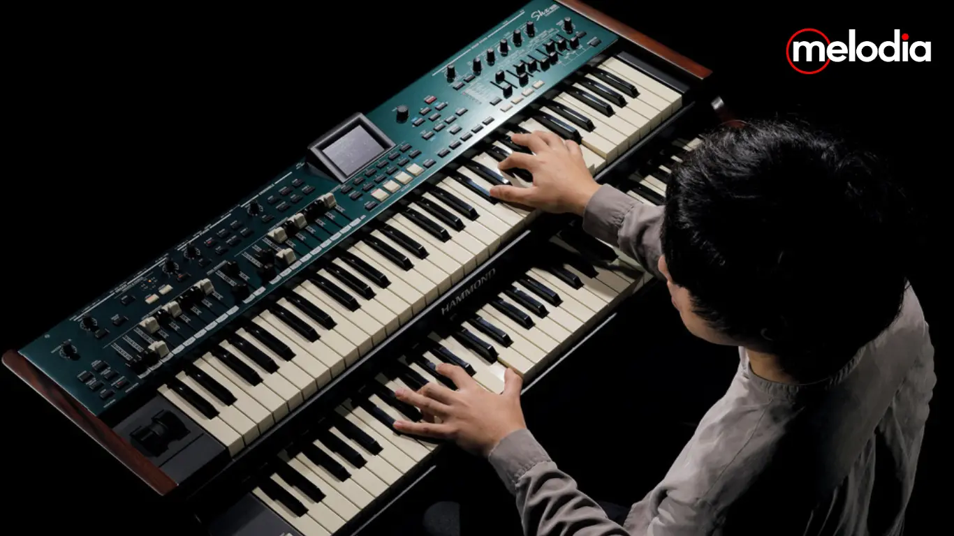 Hammond Organ Sound Vintage