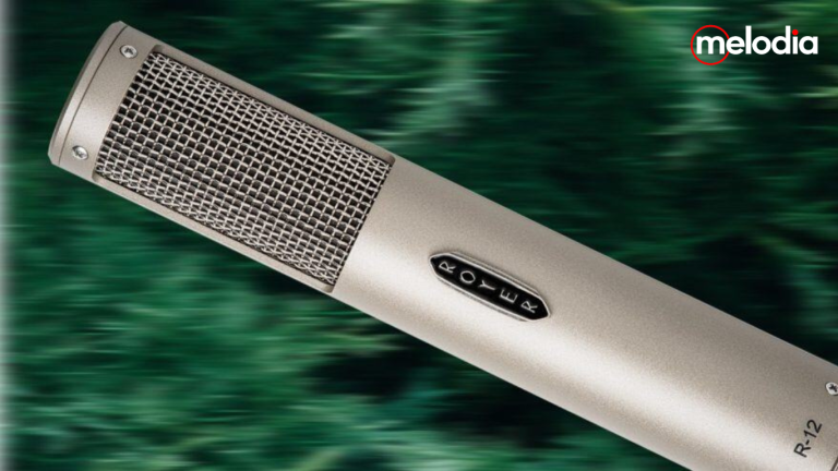 Royer Labs R-12 Active Ribbon Microphone