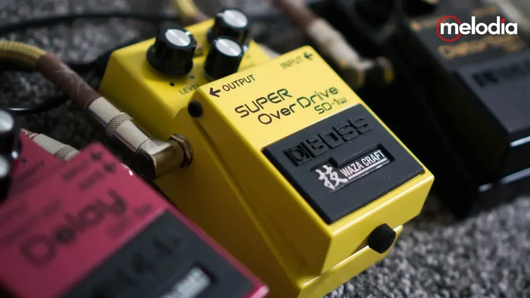 Boss SD-1W