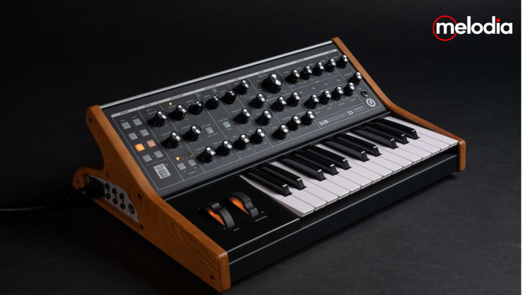 Moog Subsequent 25