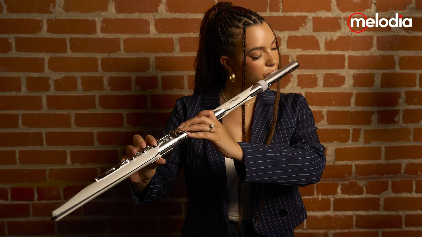 Roland Aerophone Brisa