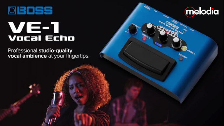 Boss VE-1 Vocal Echo Pedal