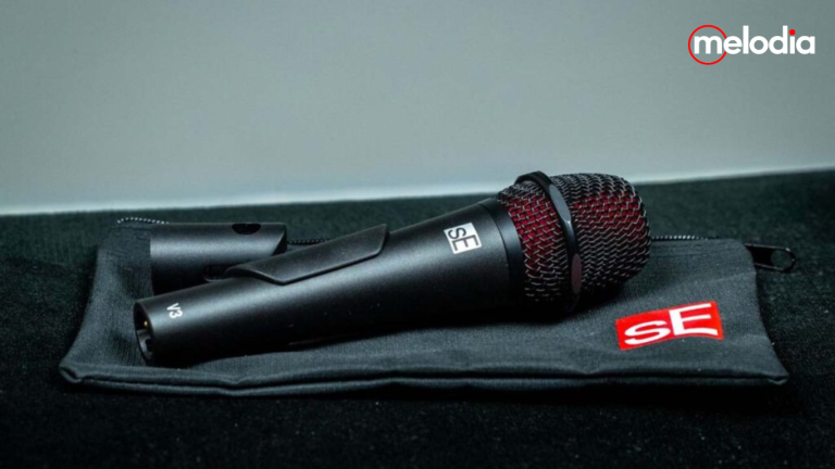 sE Electronics V3
