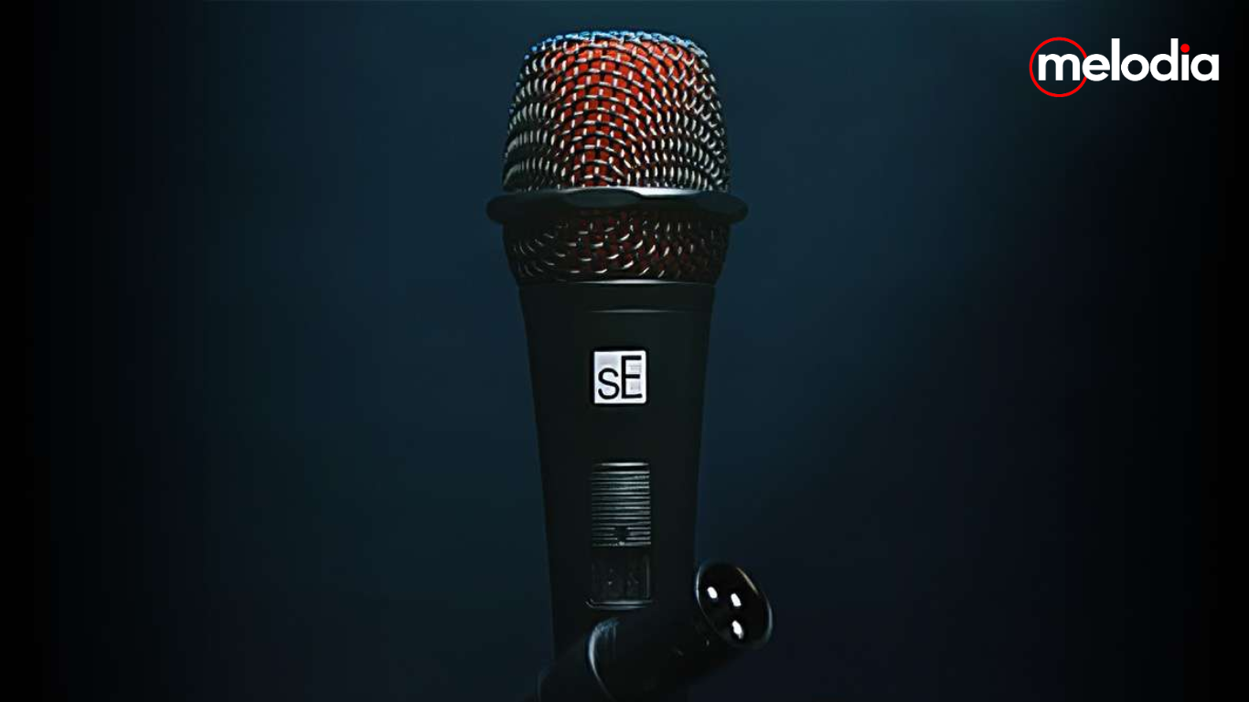 sE Electronics V2 SWITCH: Mikrofon Dinamis Serbaguna untuk Live Performance, Podcast, dan Berbagai Kebutuhan Audio