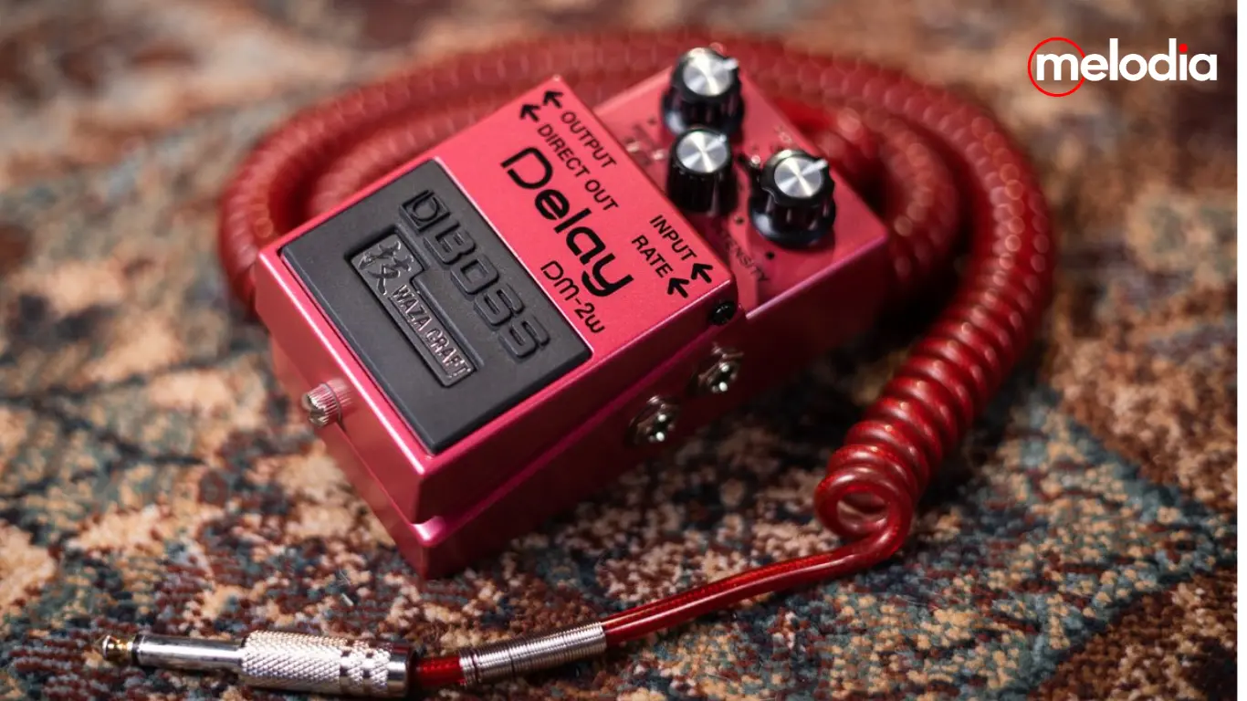 BOSS DM-2W Waza Craft Delay Pedal