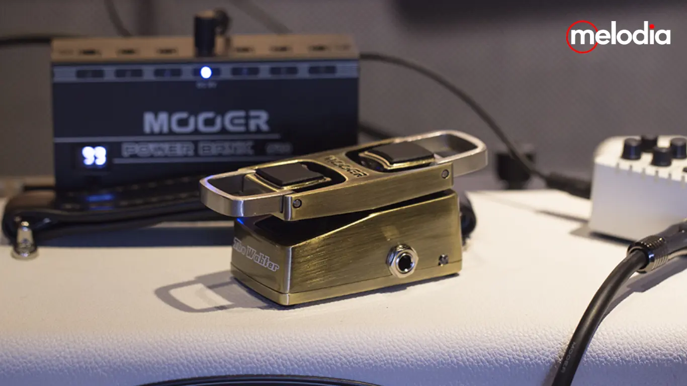 Mooer The Wahter