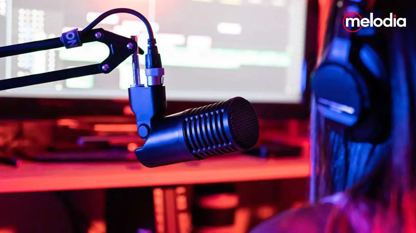 SE Electronics DCM8 DynaCaster Dynamic Microphone: Solusi Mikrofon Premium untuk Podcast, Streaming, Voice Over, dan Rekaman Profesional