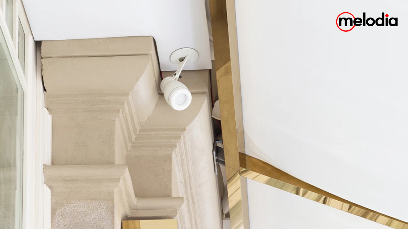 Speaker Point Source K-array