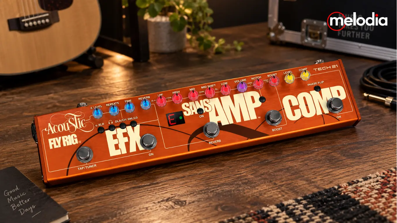Tech 21 Acoustic Fly Rig